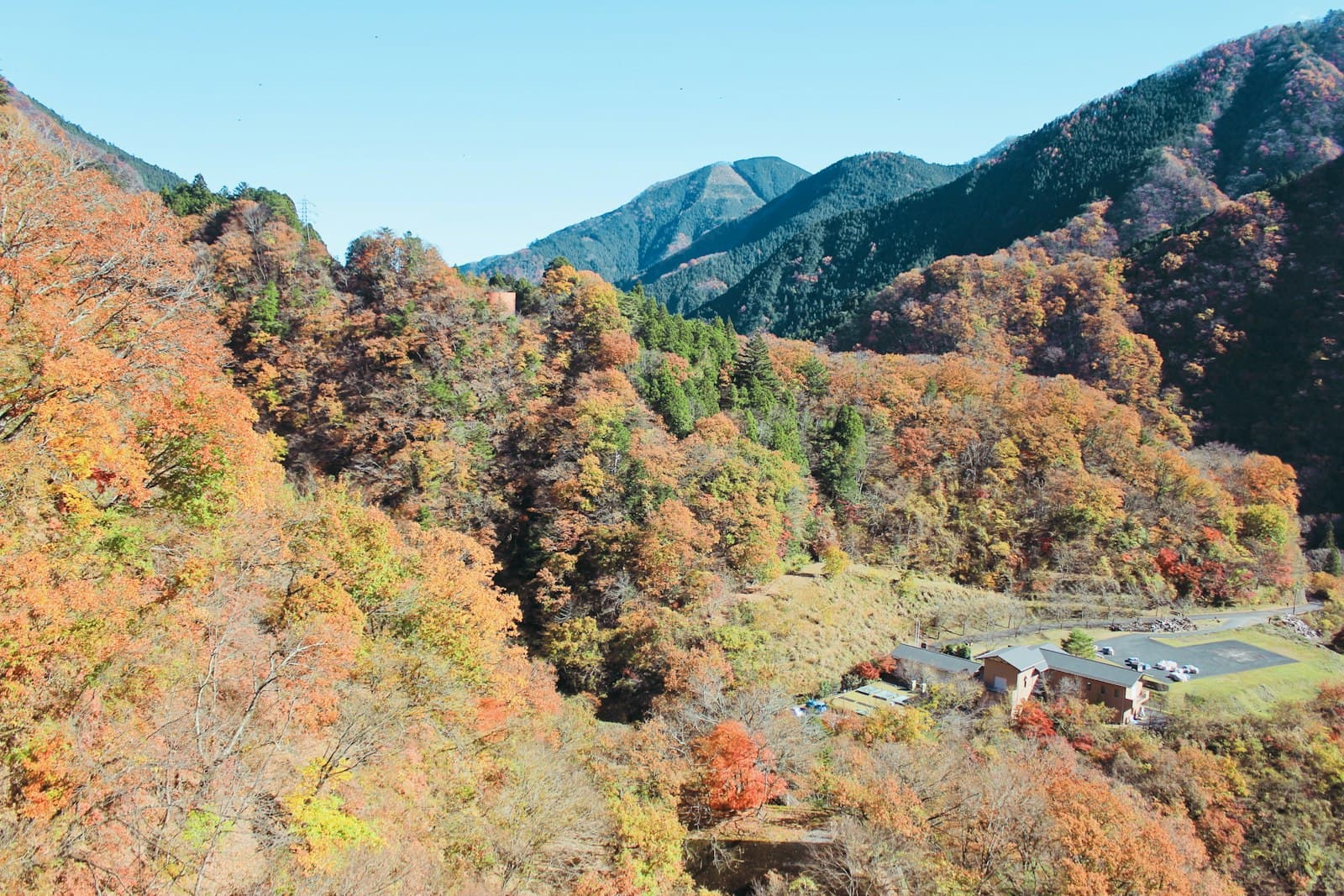 秋のクマ対策 — なぜ秋が最も危険なのか — 記事ヒーロー画像
