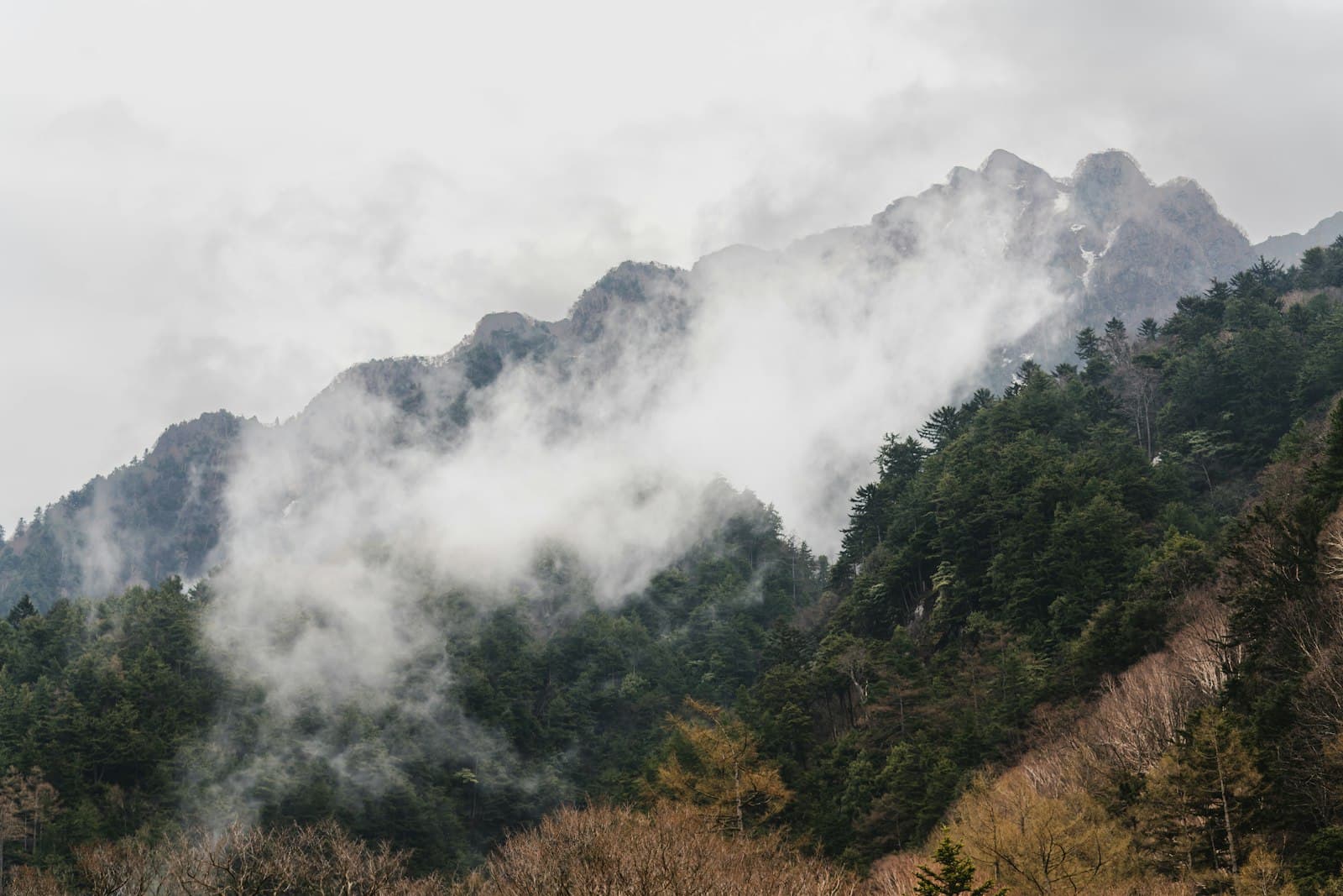 中部山岳・北アルプスのクマ事情 — 長野・岐阜・富山・新潟 — 記事ヒーロー画像