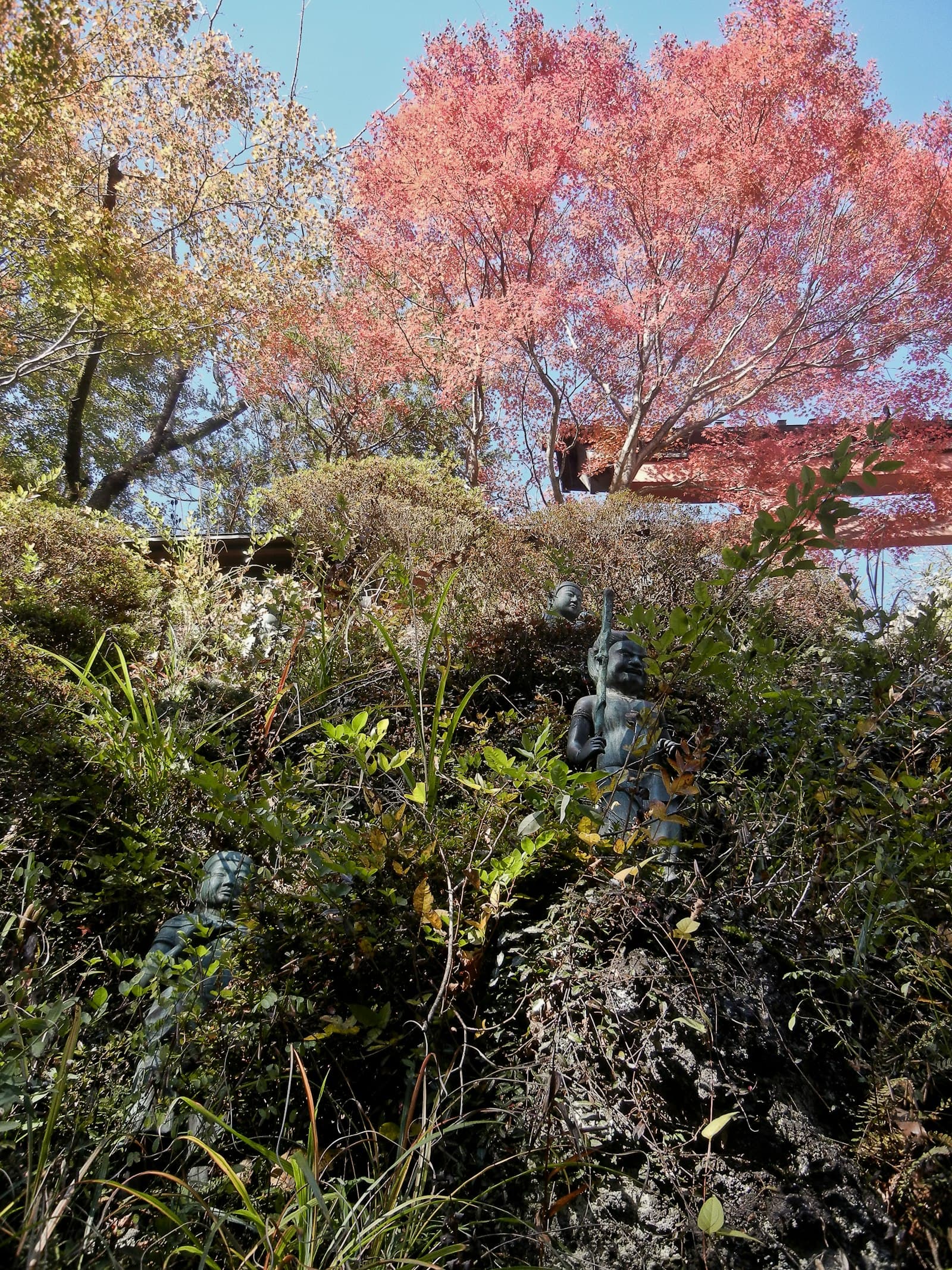 関東甲信越のクマ事情 — 群馬・栃木・埼玉・東京・神奈川・山梨 — 記事ヒーロー画像