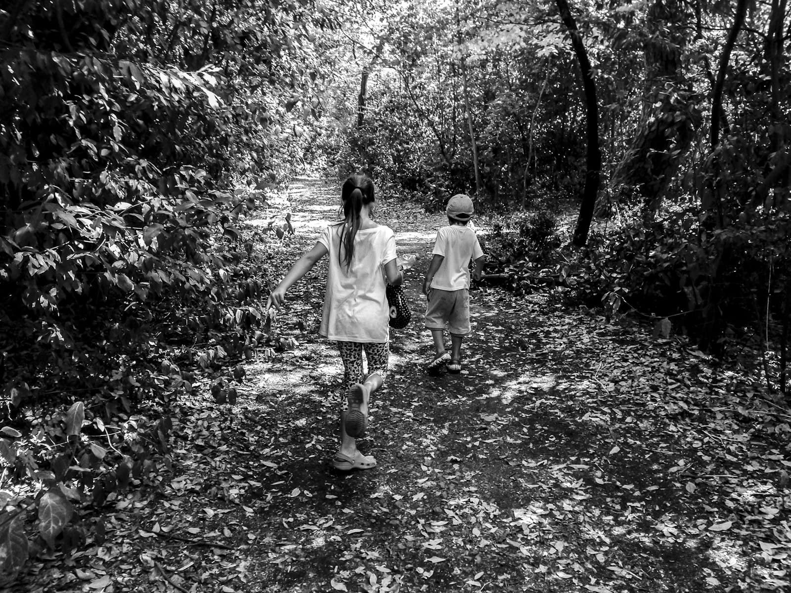 通学路のクマ対策 — 子供・保護者・学校でできること — 記事ヒーロー画像