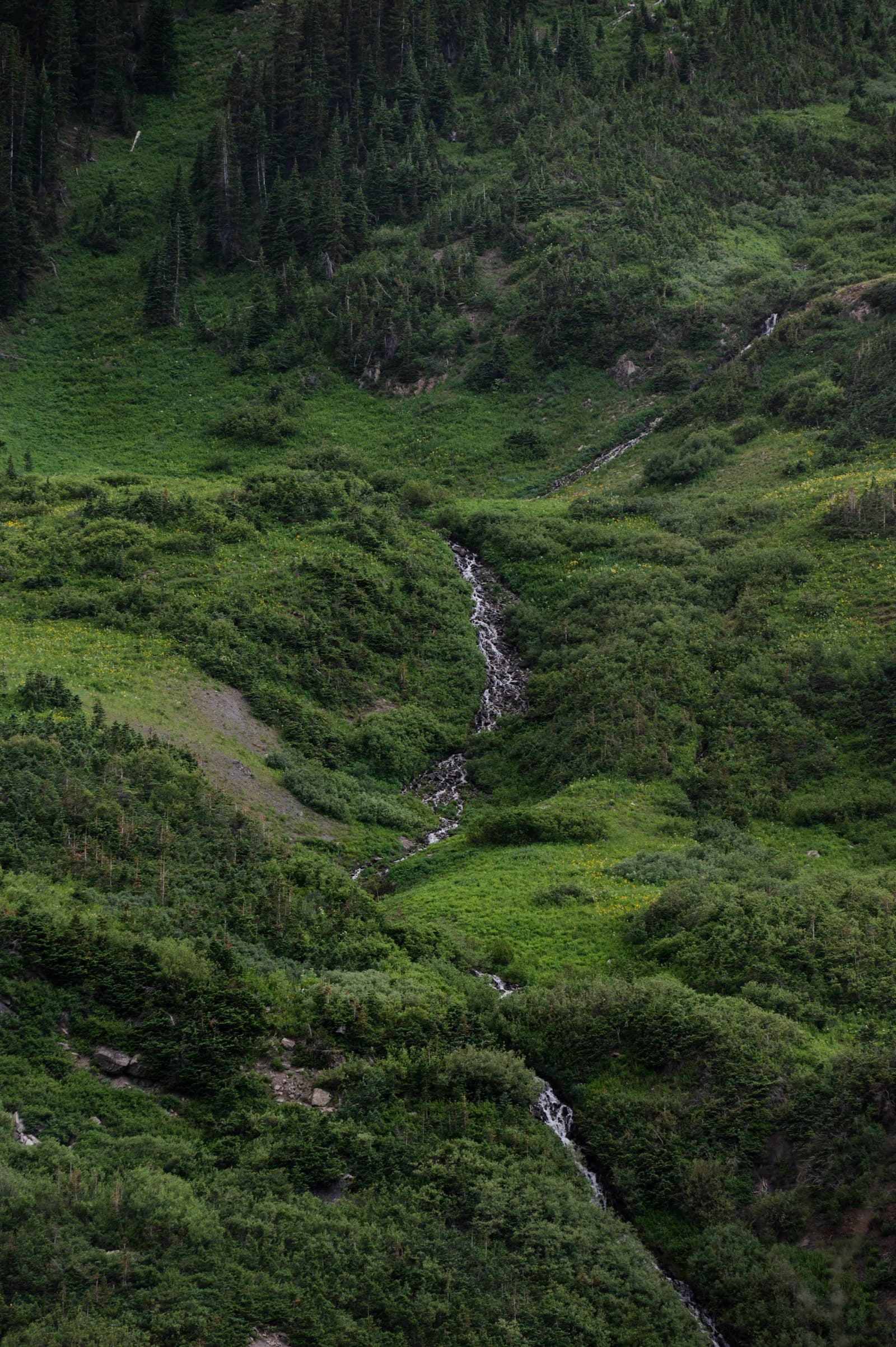 夏のクマ対策 — 川遊び・キャンプ・避暑地でのリスク — 記事ヒーロー画像
