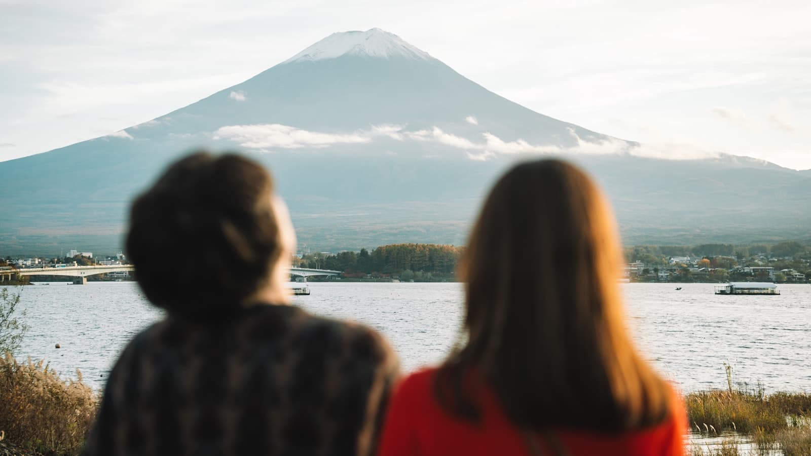 東北のツキノワグマ事情 — 秋田・岩手・青森・山形・福島・宮城 — 記事ヒーロー画像