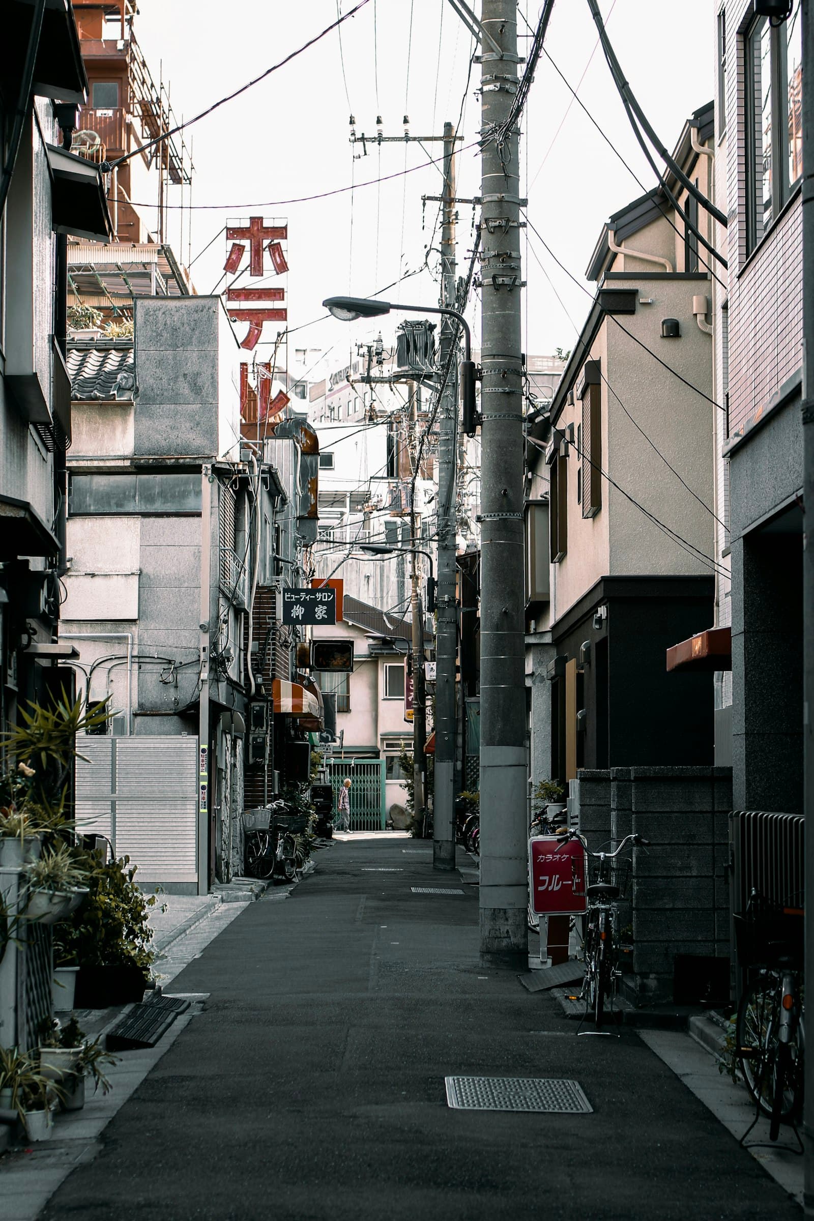 市街地・住宅地でクマに出会ったら — 通報・避難・追い払いの順序 — 記事ヒーロー画像